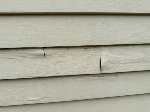 Best Siding Removal and Disposal  in Big Bear Lake, CA